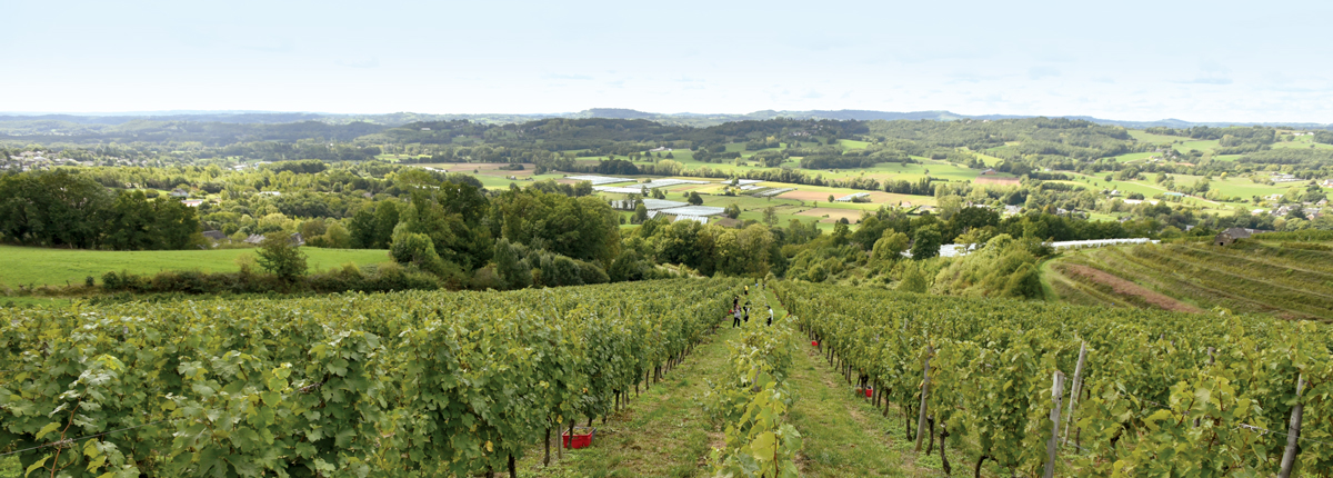 oenotourisme coteaux vezere